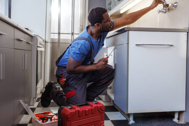 Best Same-Day Plumbing Service  in Homer, MI